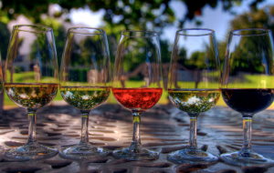 Willcox Wine Festival Day Trip